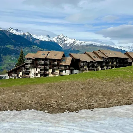 Bel Cosy Pied Des Pistes Avec Local Apartment La Plagne