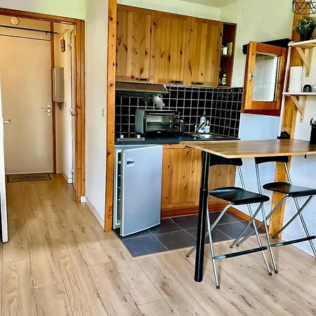 Bel Cosy Pied Des Pistes Avec Local Apartment